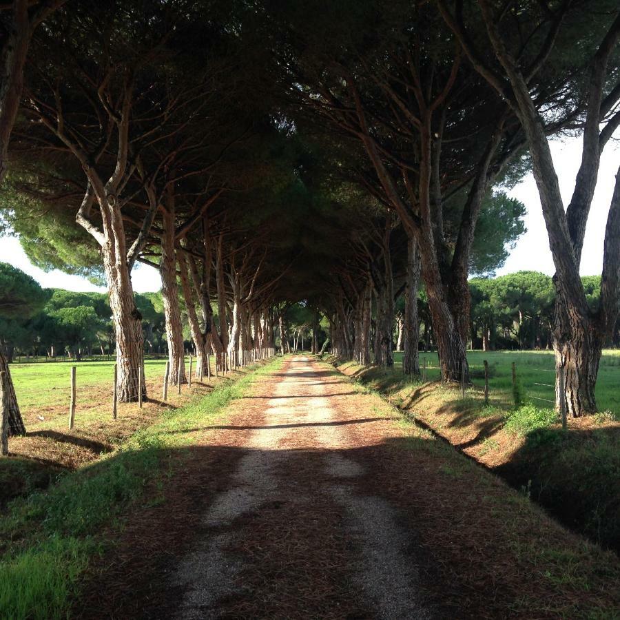 Tenuta San Carlo Hotel Marina Di Grosseto Zewnętrze zdjęcie
